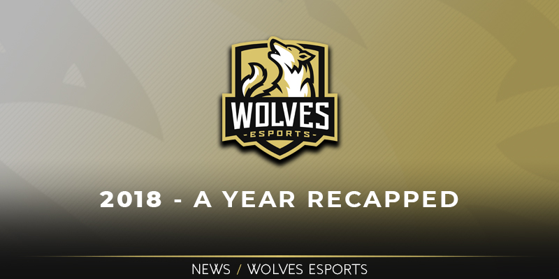 Wolves in 2018 – A Year Recapped